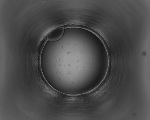 X0000091661115200708301433