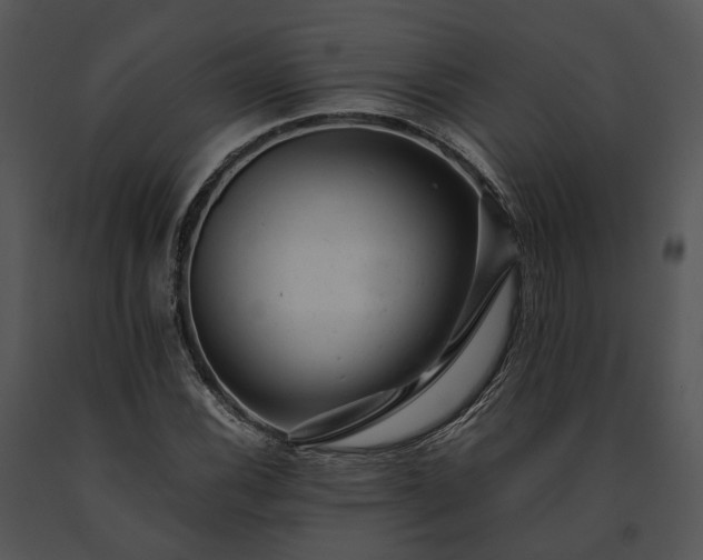 X0000091661116200708301433