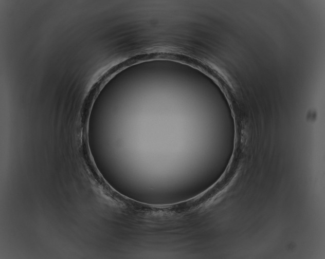X0000091661117200708301433