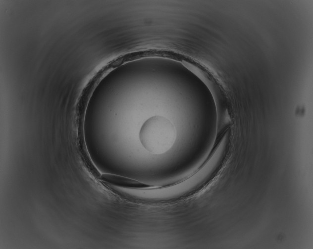 X0000091661118200708301433
