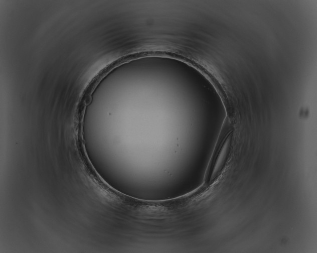 X0000091661119200708301433