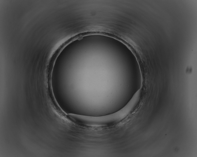 X0000091661120200708301433