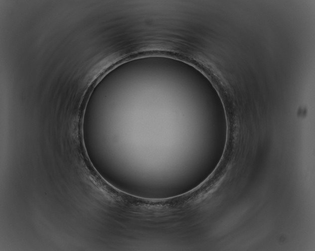 X0000091661121200708301433