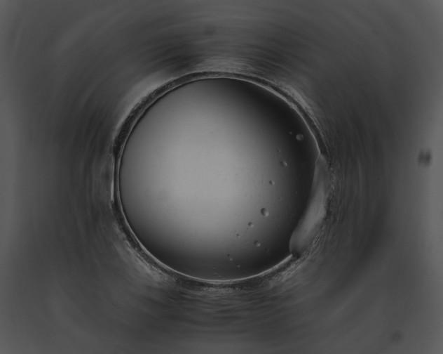 X0000091661123200708301433