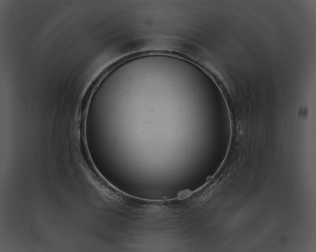 X0000091661124200708301433