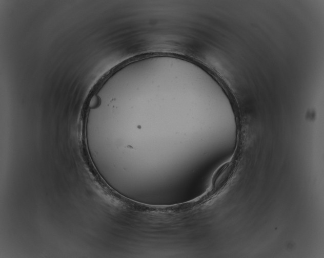X0000091661125200708301433