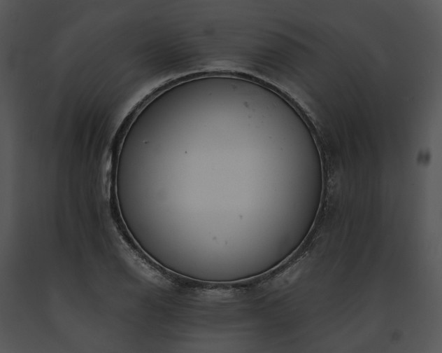 X0000091661126200708301433