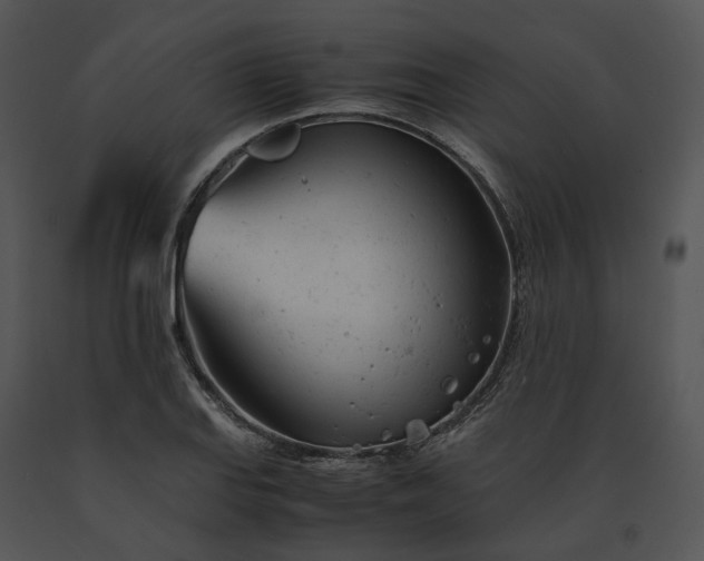 X0000091661127200708301433