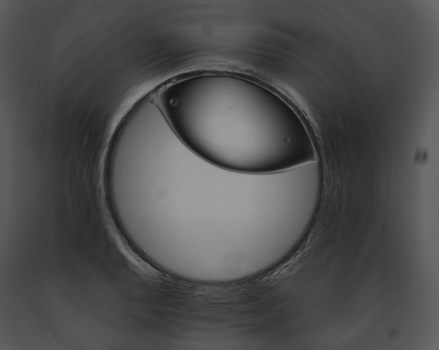 X0000091661128200708301433