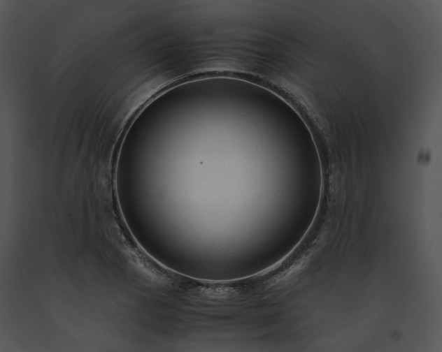 X0000091661129200708301433