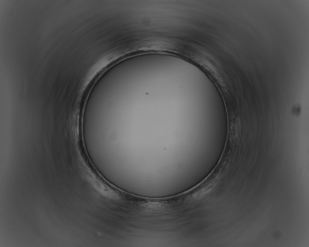 X0000091661130200708301433