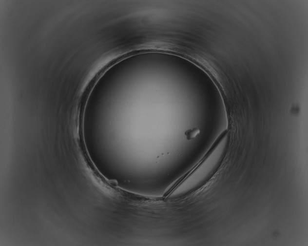 X0000091661131200708301433