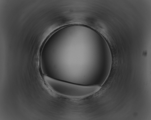 X0000091661132200708301433