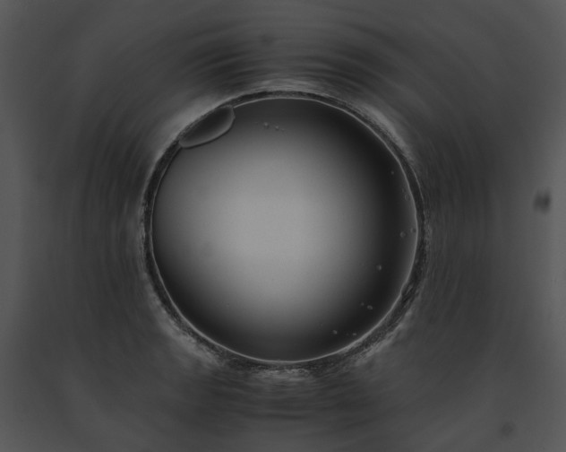 X0000091661133200708301433