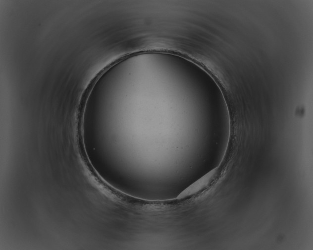 X0000091661134200708301433