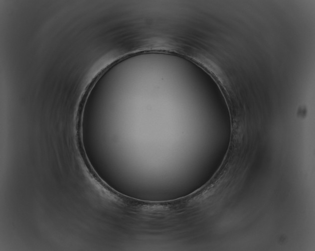 X0000091661135200708301433
