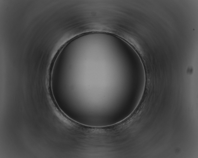X0000091661136200708301433