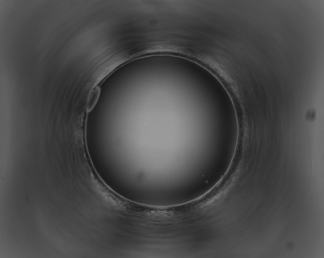 X0000091661137200708301433