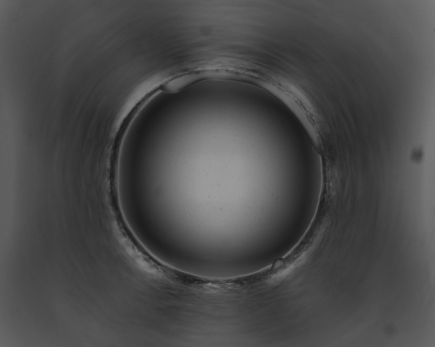 X0000091661138200708301433