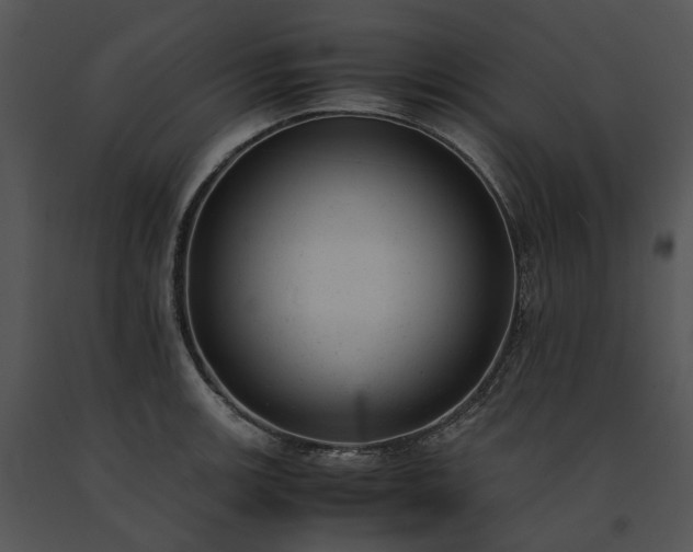 X0000091661139200708301433
