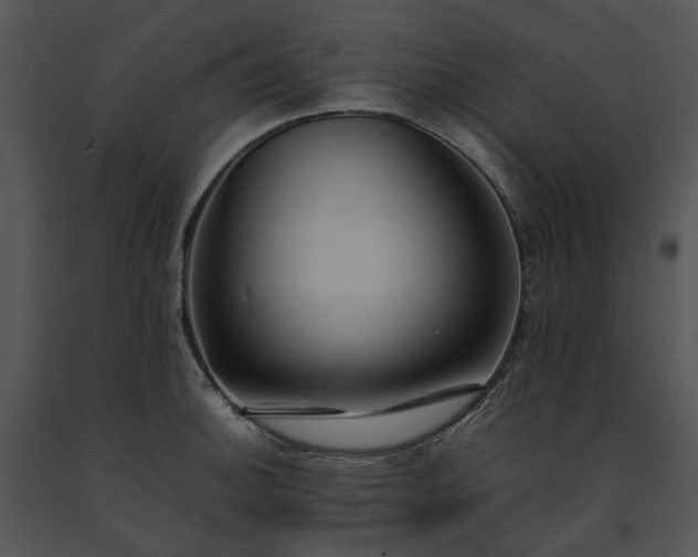 X0000091661140200708301433