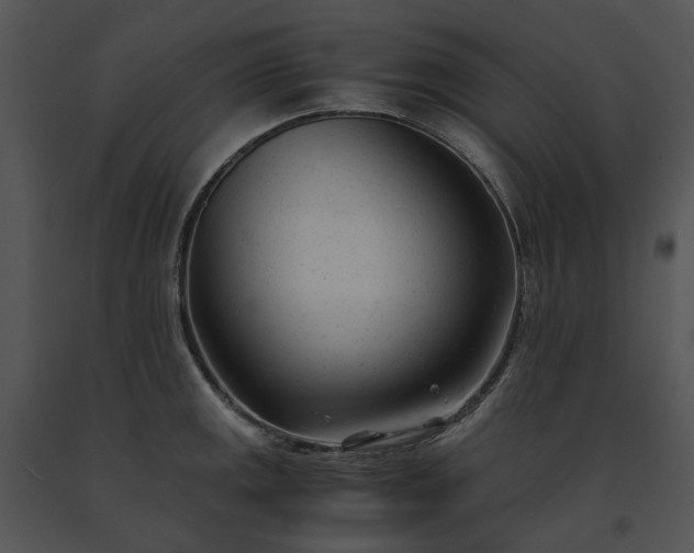 X0000091661141200708301433