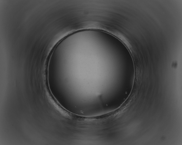X0000091661142200708301433