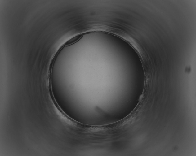 X0000091661143200708301433