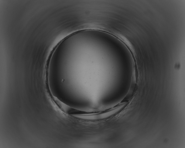 X0000091661144200708301433