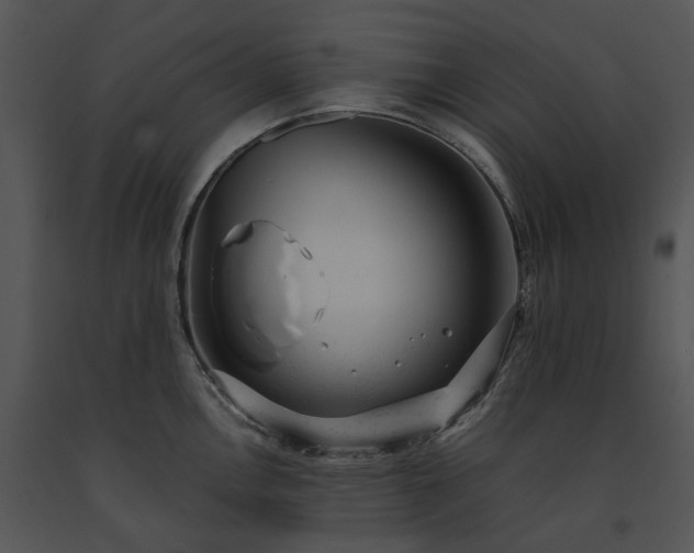 X0000091661146200708301433