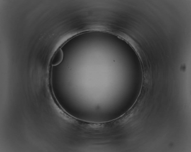 X0000091661147200708301433