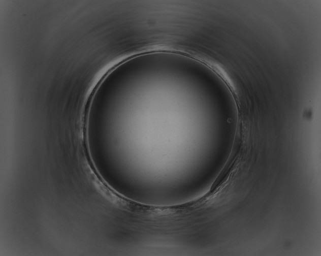 X0000091661148200708301433