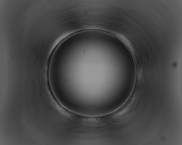 X0000091661149200708301433
