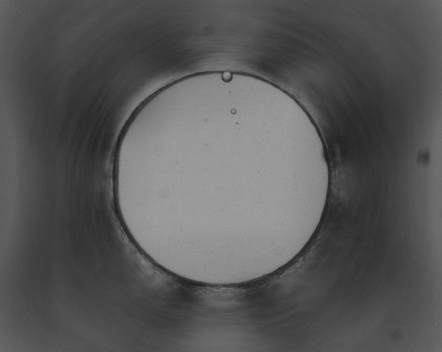 X0000091661150200708301433
