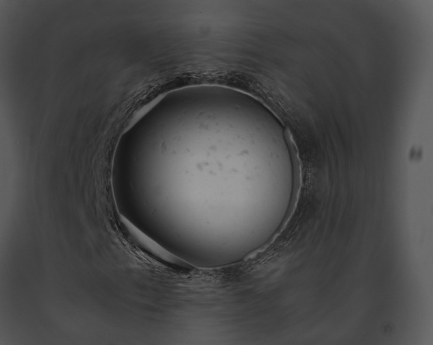 X0000091661153200708301433