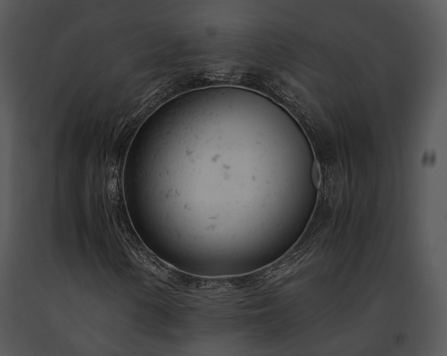 X0000091661154200708301433