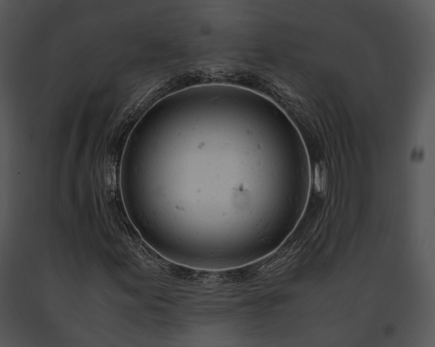 X0000091661155200708301432