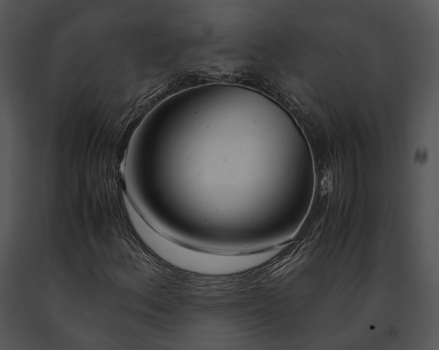 X0000091661156200708301432