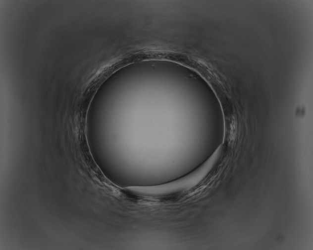 X0000091661157200708301432