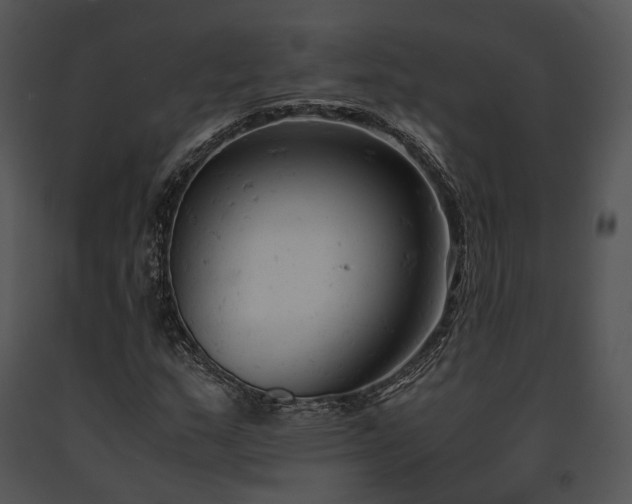 X0000091661159200708301432