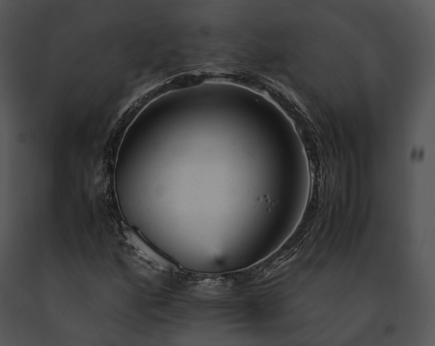 X0000091661160200708301432