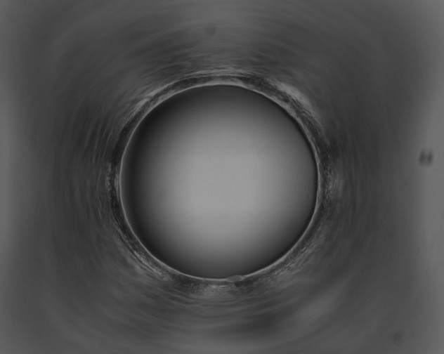 X0000091661161200708301432
