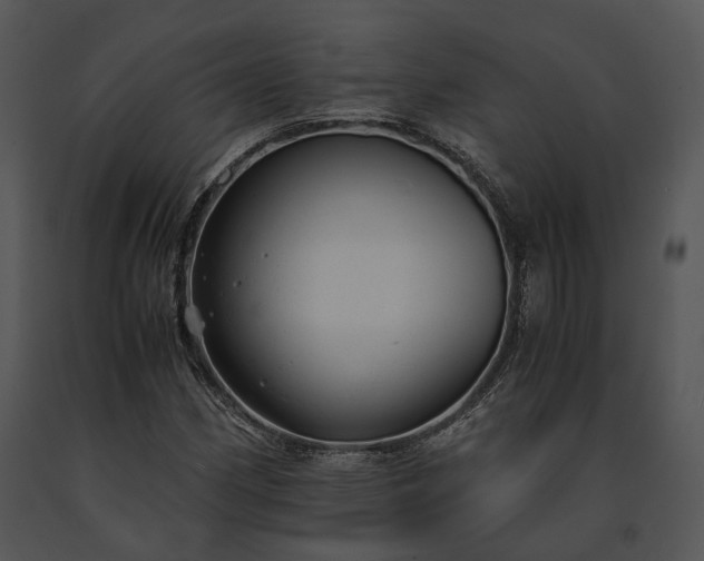 X0000091661162200708301432