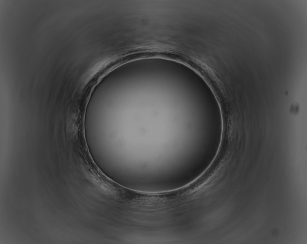 X0000091661163200708301432