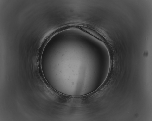 X0000091661164200708301432