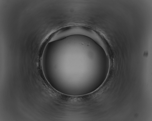 X0000091661165200708301432