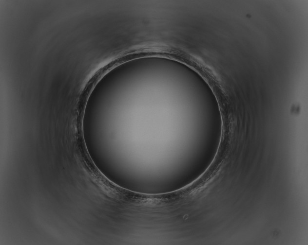 X0000091661166200708301432