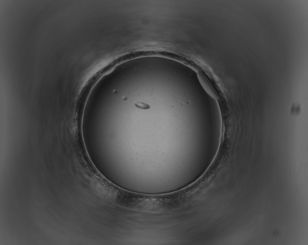 X0000091661167200708301432