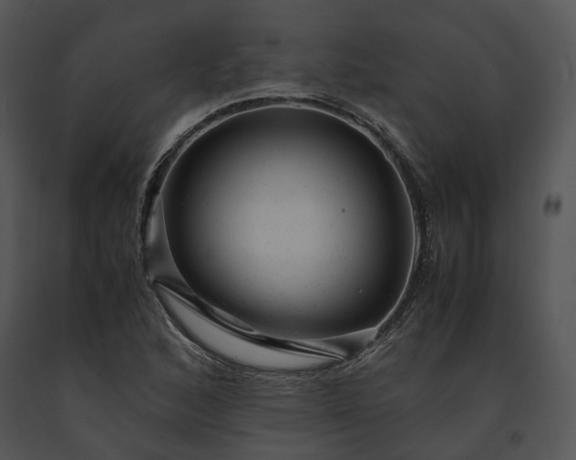 X0000091661168200708301432