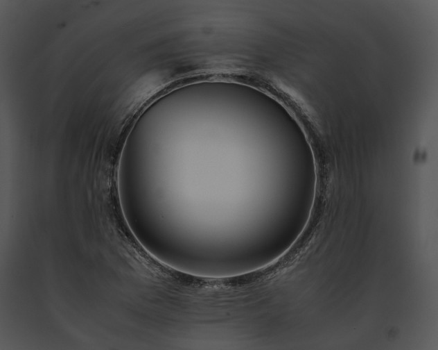 X0000091661169200708301432